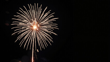 a stunning high-resolution image of a white starburst firework exploding in a dark night sky, perfec
