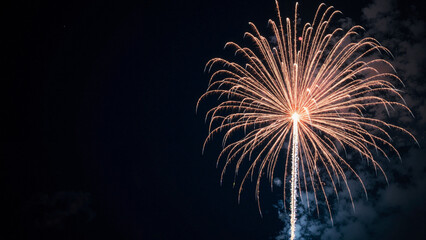 a stunning high-resolution image of a white starburst firework exploding in a dark night sky, perfec