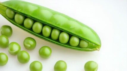 Poster - Freshly harvested green pea pod filled with tender peas, perfect for snacking or cooking