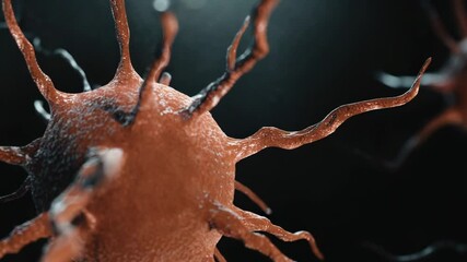 Poster - A close-up view of a single cell in darkness, highlighting its intricate details