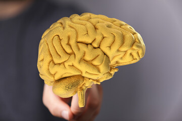 Poster - High-quality stock photo of a golden brain, perfect for concepts of intelligence, innovation, and creativity.