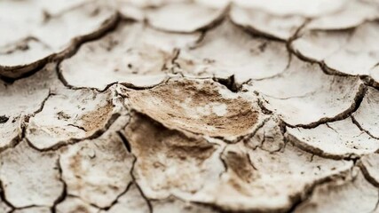 Poster - A close-up shot of a piece of dirt on the ground, with details visible