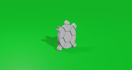 Poster - Isolated realistic white turtle symbol front view with shadow. 3d illustration on green chroma key background