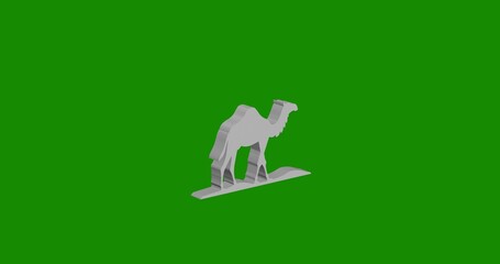 Poster - Isolated realistic white wild camel symbol front view with shadow. 3d illustration on green chroma key background
