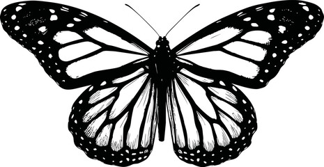 Poster - Black and white silhouette of a monarch butterfly with detailed wings. Vector illustration