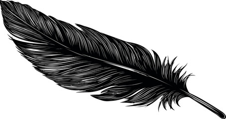 Aufkleber - Detailed black and white illustration of a single feather. Vector illustration