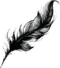 Poster - Black ink illustration of a detailed feather. Vector illustration