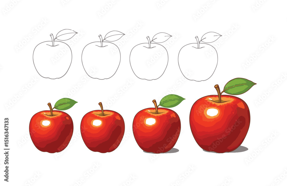 Red Apple Illustration Stages of Growth, Line Art and Color Variations ...