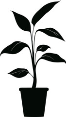 Aufkleber - Silhouette of a potted plant with multiple leaves in black and white. Vector illustration