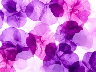 Poster - Overlapping transparent flower petals in shades of purple and pink