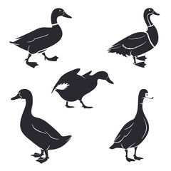 Fototapete - duck icon set of 6 silhouette icon vector on white.eps