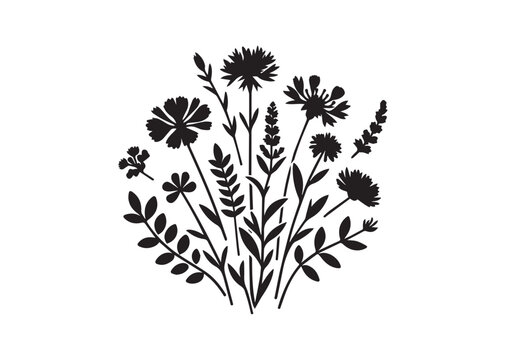 Wildflower Black Silhouette Vector