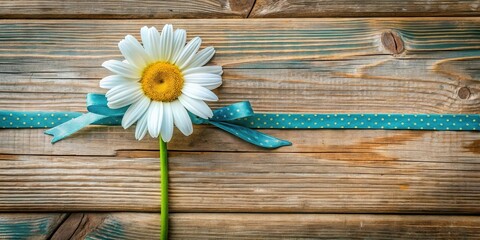 Poster - A single daisy with a teal polka dot ribbon on rustic wood