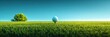 © Alice - Golf Ball in Lush Green Grass, Sunrise or Sunset Warm Glow, Distant Flag, Clear Blue Sky, Low-Angle Shot, Serene Golf Course Scene, 32k image, Wide background