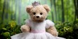 © Brian - photo of teddy bear dressed like princess