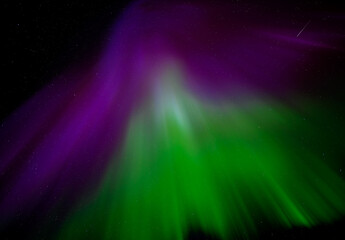Wall Mural - colorful green and purple northern lights aurora radiating plus one meteor shooting star.