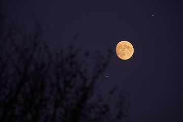 Canvas Print - full moon, stars, planets and landscape scenery silhouettes.