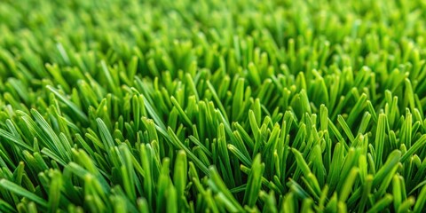 Poster - Vibrant Green Blades of Grass in a Lush Meadow, a Close-Up View Showing the Intricate Details of Nature's Texture and the Vivid Color of Fresh Growth