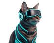 © ARAFAT 12  - A tabby cat wearing futuristic goggles headphones and a neon harness against a black background