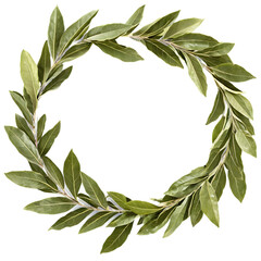 Wall Mural - bay leaf crown isolated on transparent background
