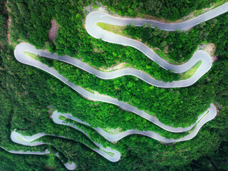 Wall Mural - aerial view of mountain curvy road and green forest in summer. dolomites, italy. top drone view of w
