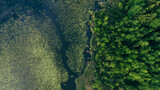 Natural Water Body Aerial View