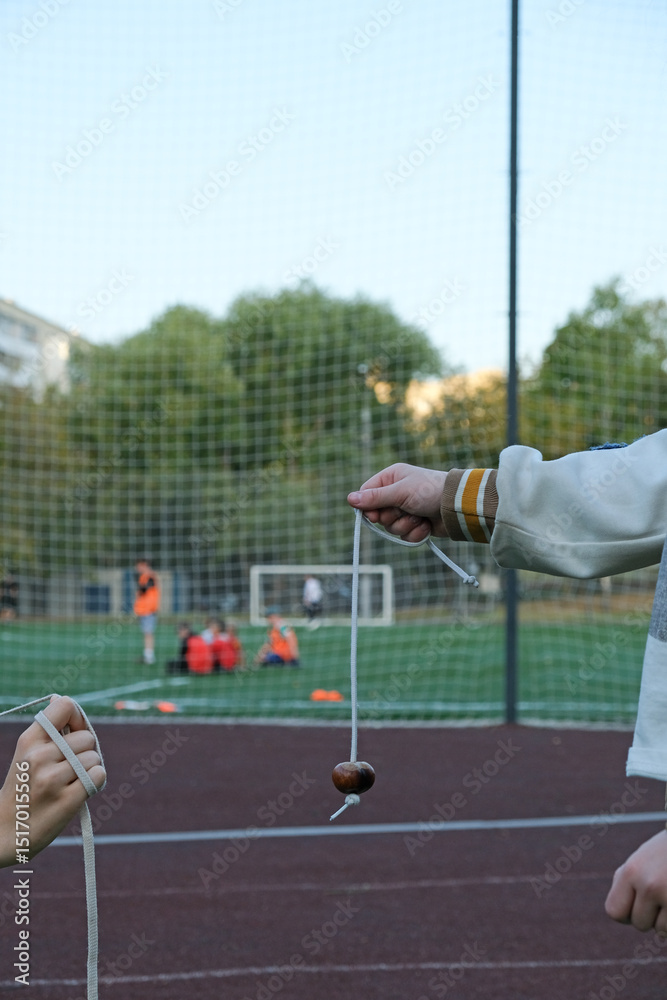 Conkers game. Teenagers are playing conkers. Selective focus ...