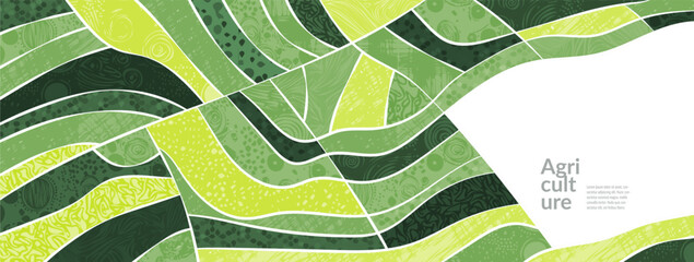 Wall Mural - field and farm landscape with vineyard pattern, corn crop and vector background. wine crop on hill l