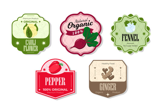 Different retro vegetables banner and labels. Packaging tags with ginger, pepper, fennel, cauliflower. Set of seasonal vegetables labels stickers and marks or badges template for packaging