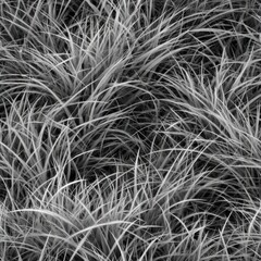 Fototapete - seamless texture the artwork features a - light gray grass set against background, perfect for creating patterns in various designs, adding depth to any project.