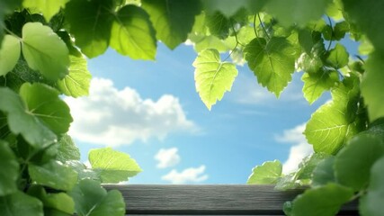 Poster - Summer Sky through Leaves: A tranquil view of a vibrant summer sky peeking through a lush frame of green leaves, with a rustic wooden surface in the foreground.