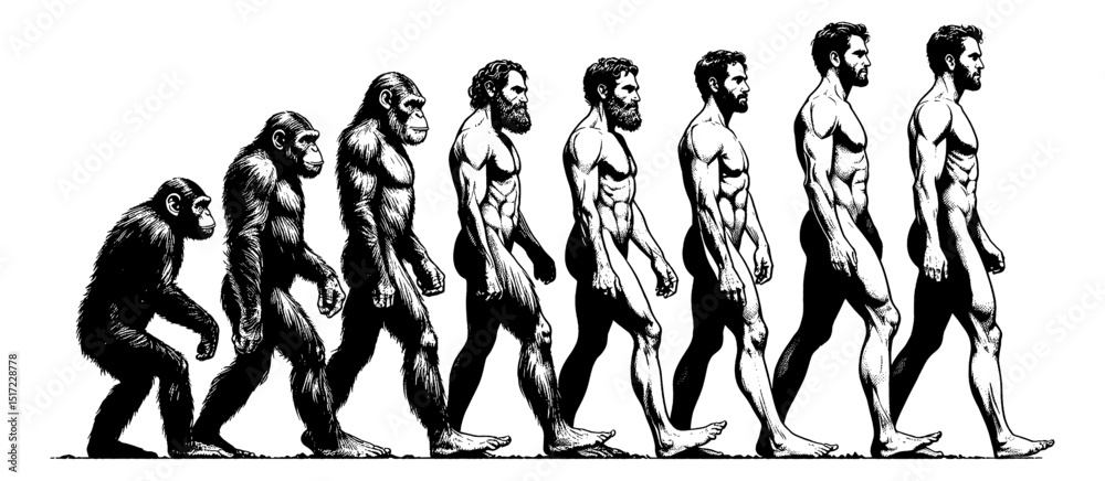 Evolution of Man in Detailed Black and White Engraving Style Walking ...