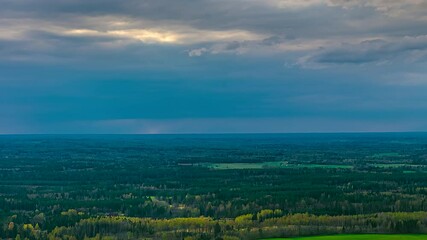Sticker - Timelapse showing sunset light over dense forest and spring green treetops