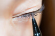 © koganami studio/Stocksy - Close-Up of a Woman Applying Eyeliner to Their Eyelid