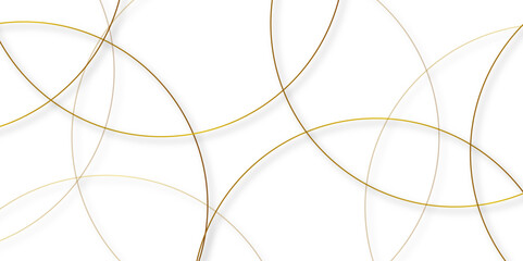 Fototapete - abstract background golden circle stock line background. abstract artistic of geometric background g