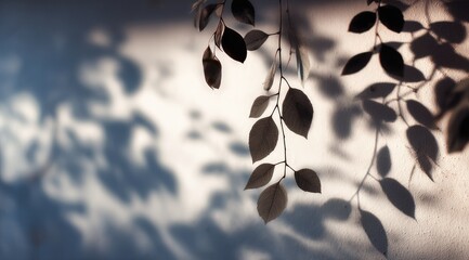 Poster - Sunlight casts shadows of leaves onto a light wall, creating a moody, textured image with varying light and dark tones