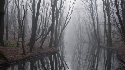 Aufkleber - Misty forest reflection with bare trees, calm water, tranquil mood, serene nature landscape, foggy autumn atmosphere