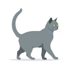  上品に歩くキュートなシャルトリュー猫