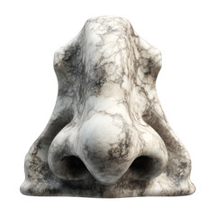 Poster - Abstract marble nose sculpture against black background, art representation isolated object