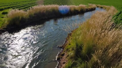 Aufkleber - Serene canal landscape with flowing water, green grass, rural field, tall grass, and natural sunlight reflection peaceful
