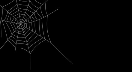 cobweb, spider web, intricate patterns, dark background, shadows, mysterious, eerie, ethereal, detailed textures, high contrast, gothic, haunting