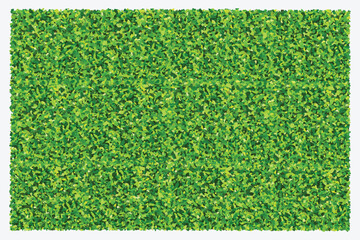 Fototapete - Green grass field background. Texture of green lawn grass. Green grass seamless texture. Vector illustration.