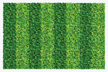 Fototapete - Green grass field background for sports and recreation. Realistic green lawn pattern and texture for background. Vector illustration.