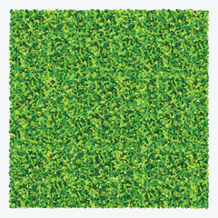 Fototapete - Green grass field background. Texture of green lawn grass. Green grass seamless texture. Vector illustration.