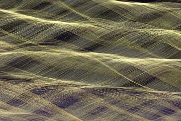 Poster - Golden wavy lines against dark background