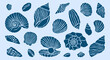 © ArtFM - Underwater ocean shells simple minimalist retro illustrations set. Seashells vector doodles