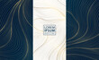 © marylia17 - Vector set of golden line wave backgrounds, abstract luxury label package, water premium japanese element. Glitter box design, art deco template.