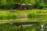 charakter, park, bory, baba, dzieci, lato, droga, drzew, chodzenie, gras, lud, iść, allein, chłopak, außenaufnahme, osoba, bieganie, rzeka, biec, krajobraz, drewna, aktywny, woda