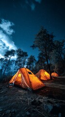 Wall Mural - Illuminated tents under starry sky in peaceful nighttime forest camping scene