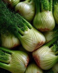 Aufkleber - Close-Up of Fresh Fennel Bulbs, Showcasing Culinary Ingredient and Healthy Eating Choices for Food Bloggers and Gastronomy Enthusiasts : Generative AI